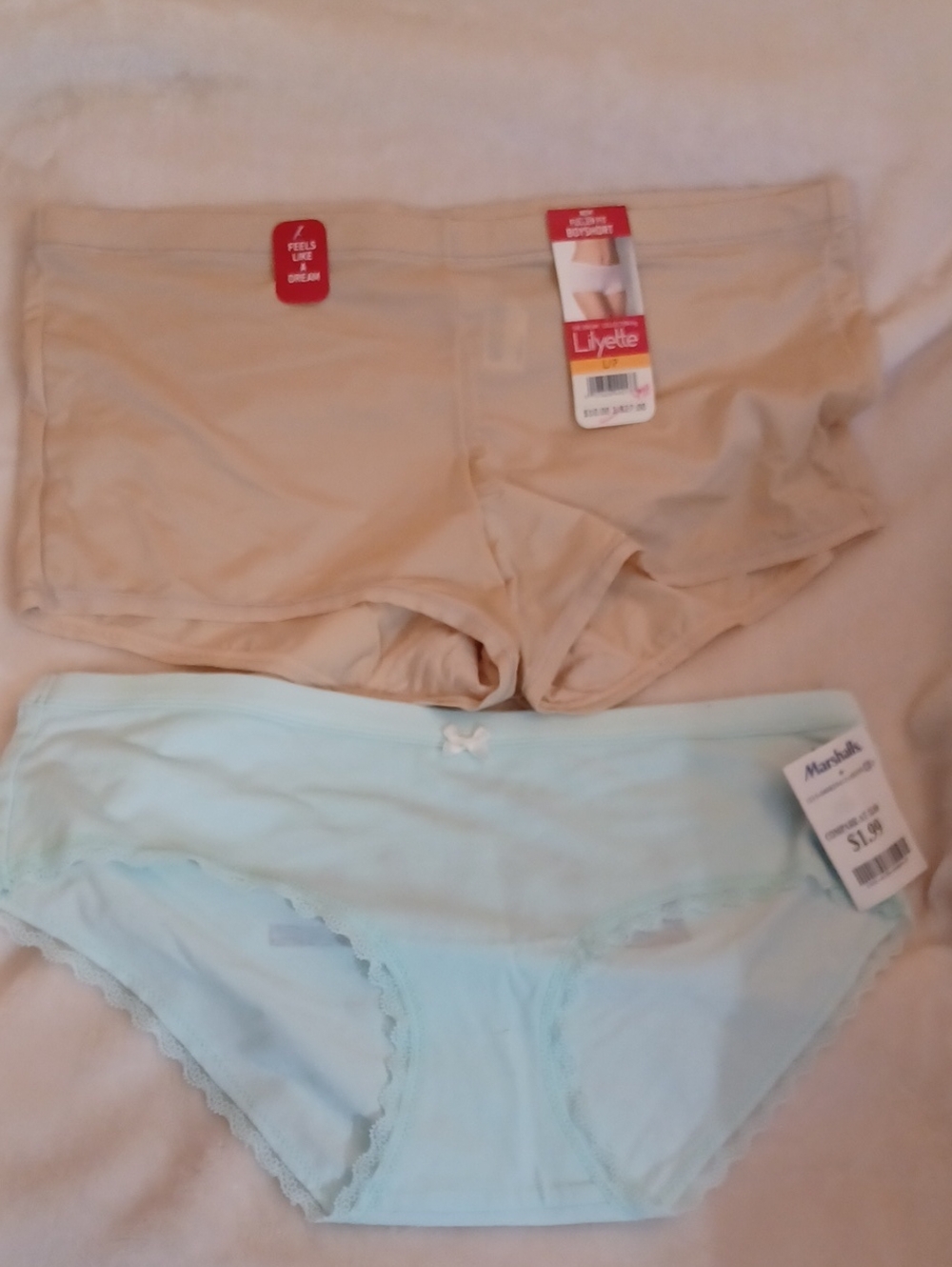 AE Aerie Bikini Panty & MF Lilyette Boyshort